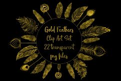 Gold Foil Feather Clip Art, 22 Transparent PNG Files Product Image 1