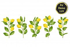 Lemon Brunches Set Product Image 1