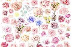 Hand Drawn Watercolor ROSES BUNDLE Product Image 5