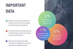 Business Report Colorite Keynote Template Product Image 11