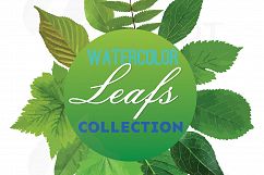 Watercolor leaf clip art pack. Eps, png, jpg, pdf, svg, vector illustrator &amp; corel files included, instant download Product Image 1