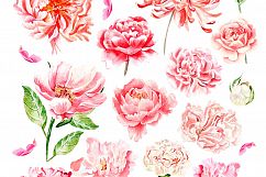 Hand Drawn Watercolor BUNDLE 4 Product Image 11