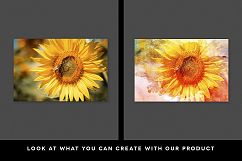 Watercolor Painting Studio Vol. 01 Product Image 3