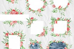 Watercolor peonies romantic floral clipart Product Image 8