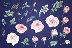 Delicate Roses Watercolor Clip Art Product Image 10