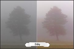 Yellowstone Profiles LR 7.3 ACR 10.3 Product Image 9