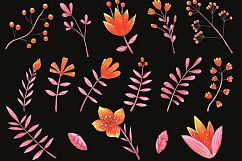 Flowers Set, Hand Drawn Elements Product Image 2
