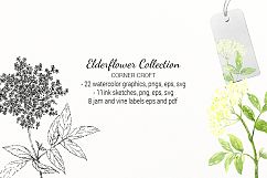 Elderflower Collection, png, svg, eps, label and stickers, watercolor elderflowers Product Image 5