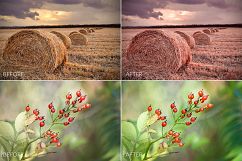 Autumn Lr Presets Product Image 4