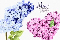 Lilac - Flowers Watercolor Illustrations Product Image 2