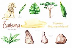 Savanna animal &amp; Tropical clipart Product Image 2