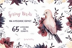 Spring birds Big watercolor clipart Product Image 1