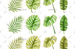 Flamingo &amp; Toucan Cliparts Product Image 5