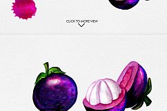 Watercolor Fruits Vol. 3 Product Image 7
