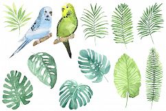 Tropical watercolor set. Product Image 2
