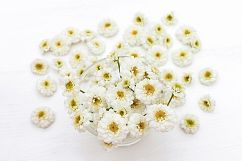 Styled Photos Bundle with Molucella Product Image 10