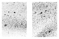 Subtle Paint Splatter Vol. 2 Product Image 17
