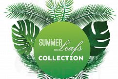 Summer leaf clip art pack, palm leaf collection. Eps, png, jpg, pdf, svg, vector illustrator &amp; corel files included, instant download Product Image 1