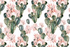 Watercolor SUCCULENTS &amp; CACTUSES Product Image 7