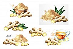 Ginger.Watercolor collection Product Image 3