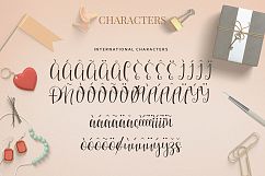 Mellany Typeface Product Image 5