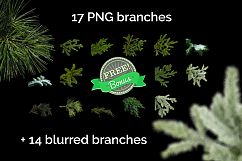 51 Christmas Tree Brunch Overlays Product Image 8