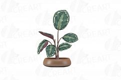 Leafy plants clip art collection, Watercolor plants in pot Product Image 9