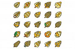 Pine cone icons set vector flat Product Image 1