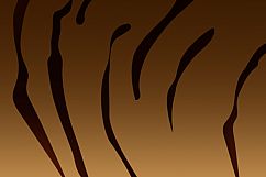 Tiger Abstract Background Product Image 8