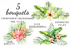 Hawaii. Big tropical clip art. Product Image 2