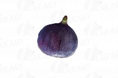 Watercolor Fig clip art pack,common fig leaves, fig fruit Product Image 17