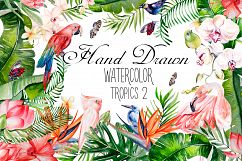 Hand Drawn watercolor TROPICS 2 Product Image 1