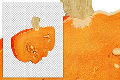 Warren Pumpkin - Vintage Illustration Product Image 2