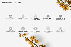 Luxury | vol.2 Product Image 6