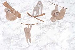 Hand Drawn Watercolor Sloth Clipart Product Image 3