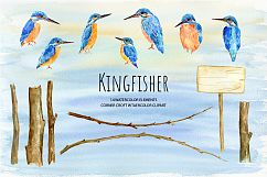 Bird Kingfisher Clipart, Watercolor Illustration  Product Image 2