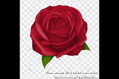 100 Luxury Rose Clip Arts, Wedding, Mother Day, Valentine Product Image 2