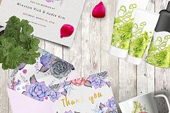 Succulents &amp; Cactuses Product Image 11