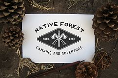 12 Vintage Adventure Badges Product Image 6