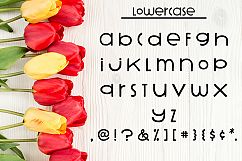 Breezy Picnic Alphabet SVG Cut Files Product Image 3