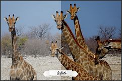 Vacation Photos Fix profiles LR 7.3 ACR 10.3 Product Image 22