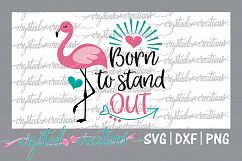 Born to Stand Out -Flamingo  Product Image 1