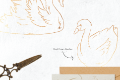 Fancy Swan Collection Product Image 2