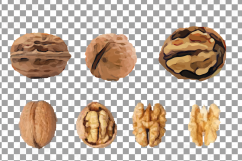 Nuts clip art pack, Watercolor nuts chart, food print Product Image 24