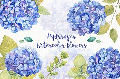 Hydrangea Watercolor Flowers Product Image 2