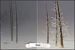 Yellowstone Profiles LR 7.3 ACR 10.3 Product Image 23