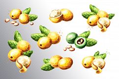 Marula Product Image 2