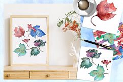 Watercolor viburnum PNG leaves set   Product Image 4