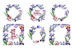 Irises PNG watercolor flowers set Product Image 3