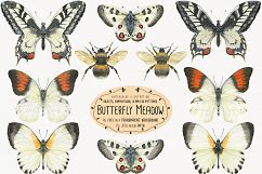The Butterfly Meadow Product Image 2